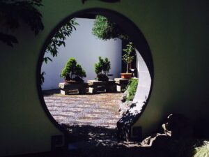 crawley wing chun doors opening