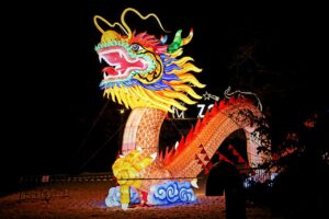 students starting wing chun kung fu